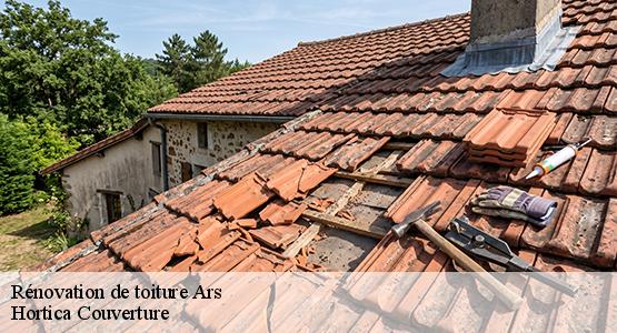 Rénovation de toiture  ars-16130 Hortica Couverture
