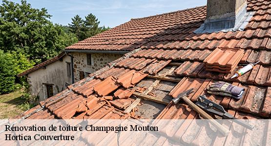 Rénovation de toiture  champagne-mouton-16350 Hortica Couverture