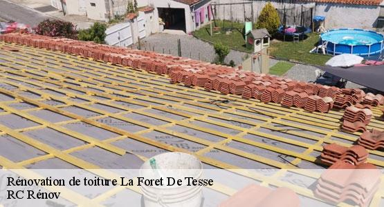 Rénovation de toiture  la-foret-de-tesse-16240 RC Rénov