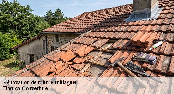 Rénovation de toiture  juillaguet-16320 Hortica Couverture