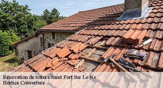 Rénovation de toiture  saint-fort-sur-le-ne-16130 Hortica Couverture