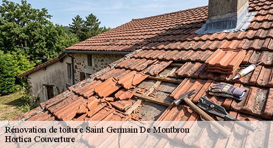 Rénovation de toiture  saint-germain-de-montbron-16380 Hortica Couverture
