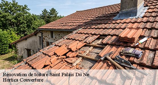 Rénovation de toiture  saint-palais-du-ne-16300 Hortica Couverture