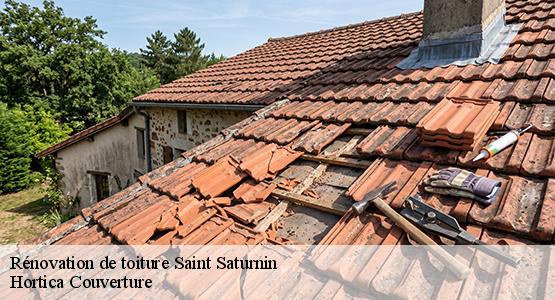 Rénovation de toiture  saint-saturnin-16290 Hortica Couverture