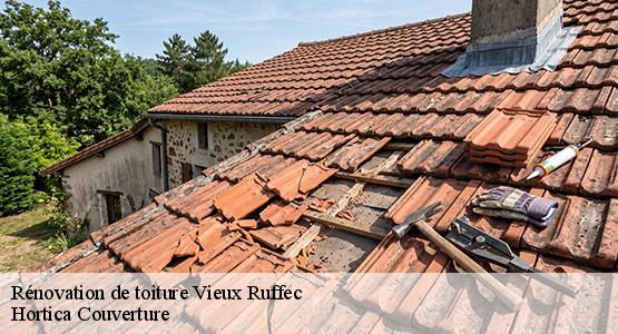 Rénovation de toiture  vieux-ruffec-16350 Hortica Couverture