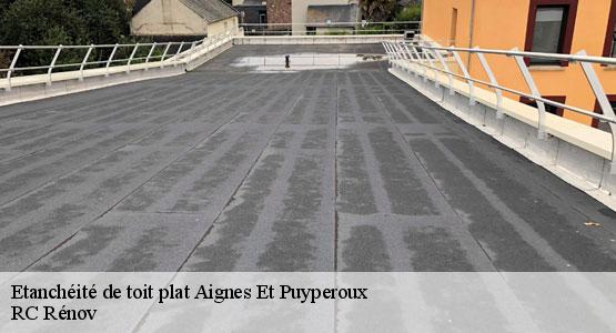 Etanchéité de toit plat  aignes-et-puyperoux-16190 RC Rénov