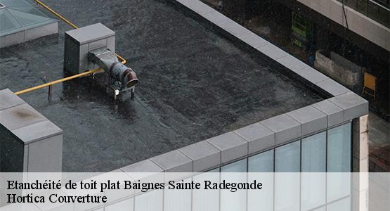 Etanchéité de toit plat  baignes-sainte-radegonde-16360 Hortica Couverture