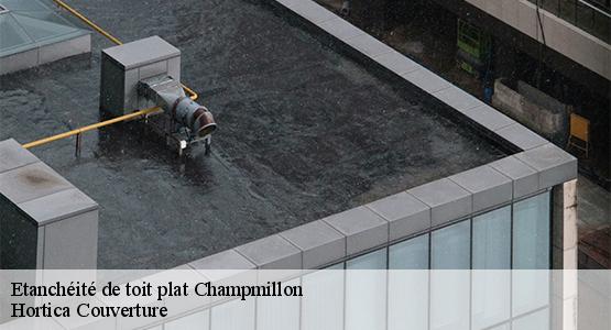 Etanchéité de toit plat  champmillon-16290 Hortica Couverture