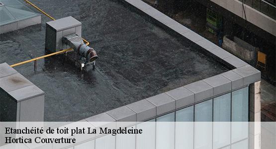 Etanchéité de toit plat  la-magdeleine-16240 Hortica Couverture