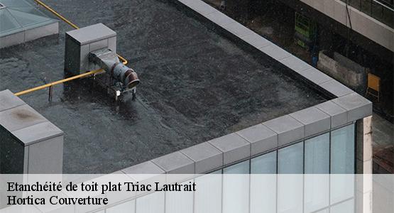 Etanchéité de toit plat  triac-lautrait-16200 Hortica Couverture