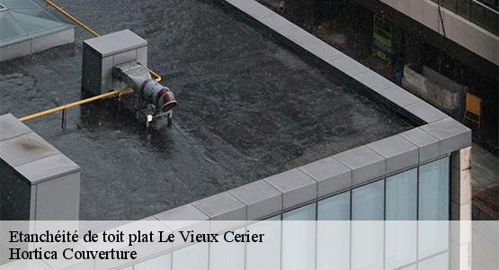 Etanchéité de toit plat  le-vieux-cerier-16350 Hortica Couverture