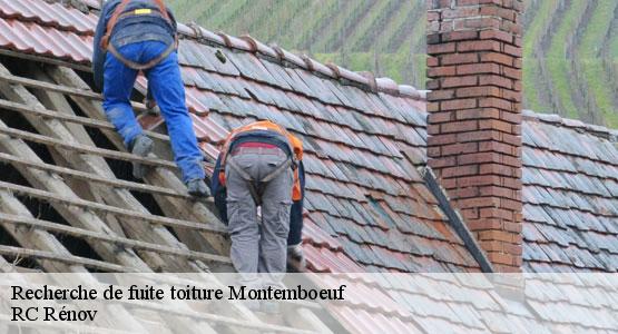 Recherche de fuite toiture  montemboeuf-16310 RC Rénov