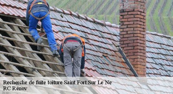 Recherche de fuite toiture saint-fort-sur-le-ne-16130 RC Rénov