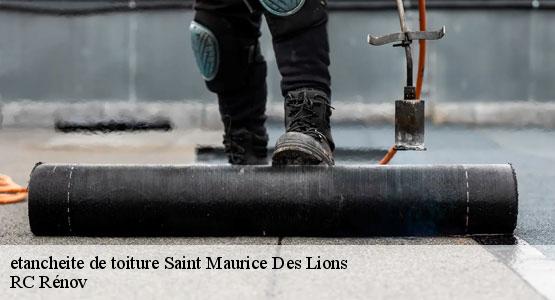etancheite de toiture  saint-maurice-des-lions-16500 RC Rénov