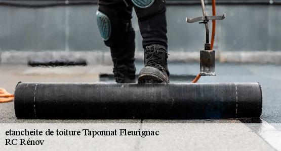 etancheite de toiture taponnat-fleurignac-16110 RC Rénov