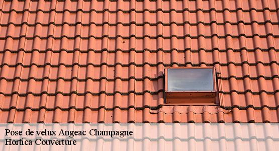 Pose de velux  angeac-champagne-16130 Hortica Couverture