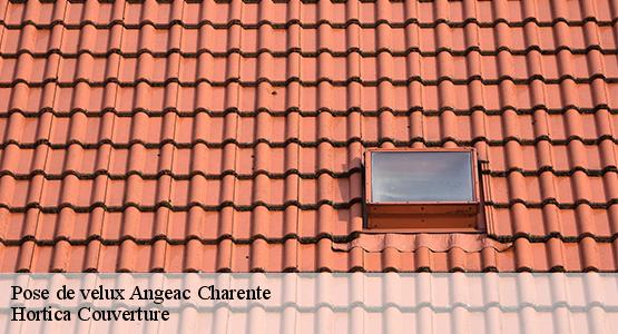 Pose de velux  angeac-charente-16120 Hortica Couverture