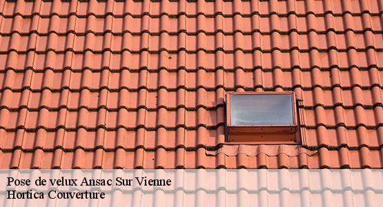 Pose de velux  ansac-sur-vienne-16500 Hortica Couverture