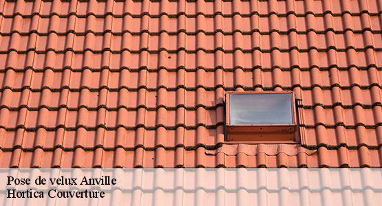 Pose de velux  anville-16170 Hortica Couverture