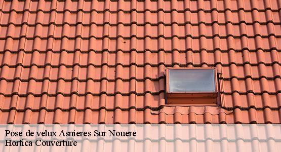 Pose de velux  asnieres-sur-nouere-16290 Hortica Couverture