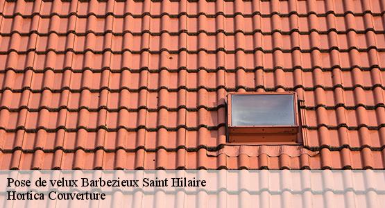 Pose de velux  barbezieux-saint-hilaire-16300 Hortica Couverture