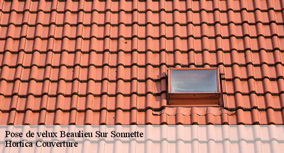 Pose de velux  beaulieu-sur-sonnette-16450 Hortica Couverture