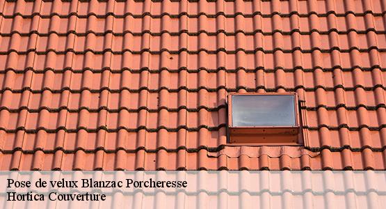 Pose de velux  blanzac-porcheresse-16250 Hortica Couverture