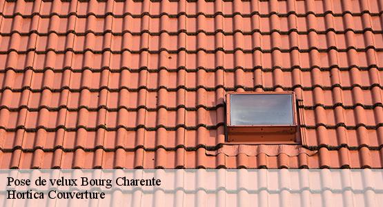 Pose de velux  bourg-charente-16200 Hortica Couverture