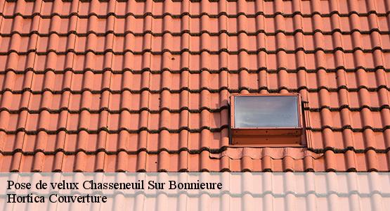 Pose de velux  chasseneuil-sur-bonnieure-16260 Hortica Couverture