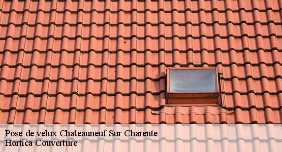 Pose de velux  chateauneuf-sur-charente-16120 Hortica Couverture