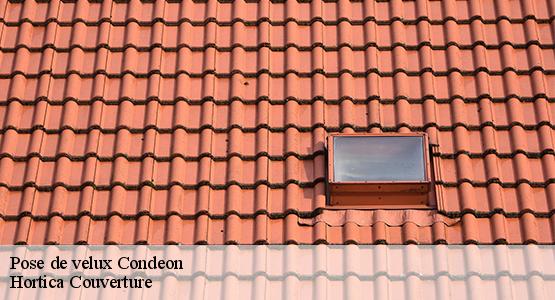 Pose de velux  condeon-16360 Hortica Couverture