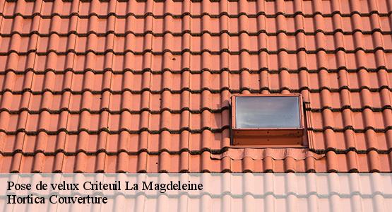 Pose de velux  criteuil-la-magdeleine-16300 Hortica Couverture