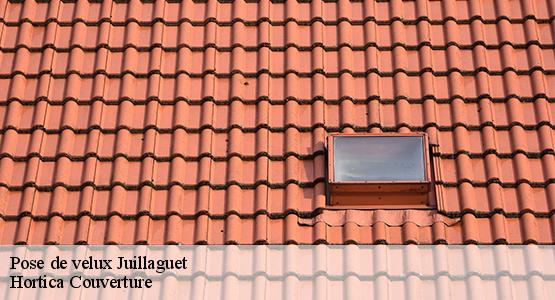 Pose de velux  juillaguet-16320 Hortica Couverture