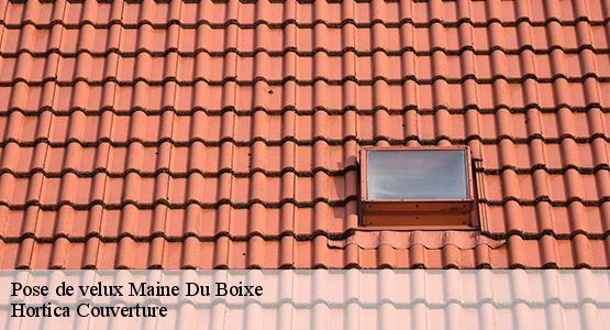 Pose de velux  maine-du-boixe-16230 Hortica Couverture
