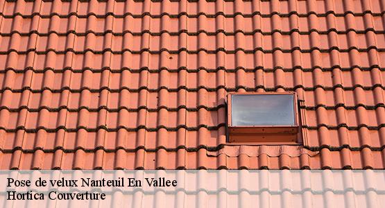 Pose de velux  nanteuil-en-vallee-16700 Hortica Couverture