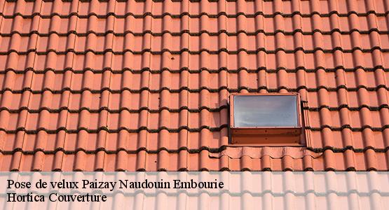 Pose de velux  paizay-naudouin-embourie-16240 Hortica Couverture