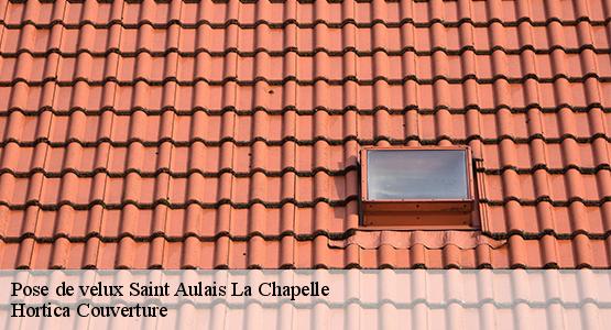 Pose de velux  saint-aulais-la-chapelle-16300 Hortica Couverture
