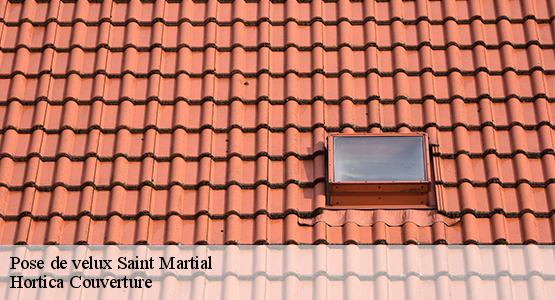 Pose de velux  saint-martial-16190 Hortica Couverture