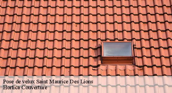 Pose de velux  saint-maurice-des-lions-16500 Hortica Couverture