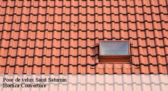 Pose de velux  saint-saturnin-16290 Hortica Couverture