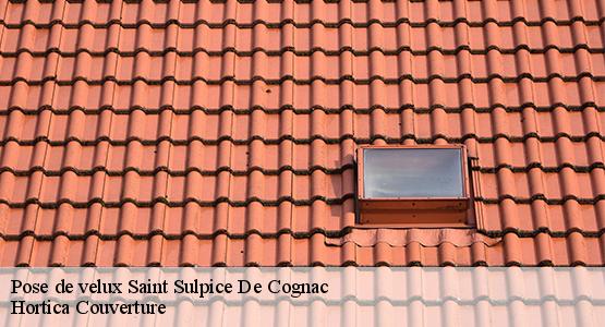 Pose de velux  saint-sulpice-de-cognac-16370 Hortica Couverture