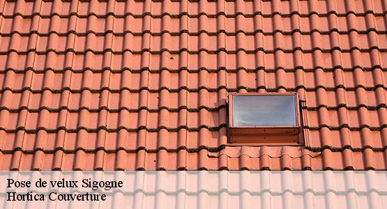 Pose de velux  sigogne-16200 Hortica Couverture