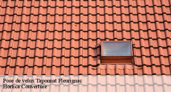 Pose de velux  taponnat-fleurignac-16110 Hortica Couverture