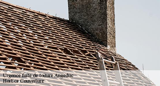 Urgence fuite de toiture  angeduc-16300 Hortica Couverture