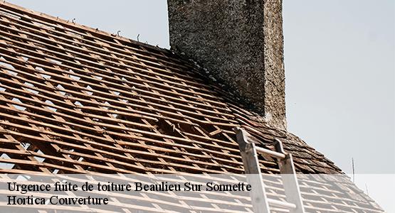 Urgence fuite de toiture  beaulieu-sur-sonnette-16450 Hortica Couverture