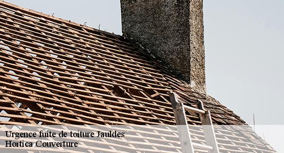 Urgence fuite de toiture  jauldes-16560 Hortica Couverture