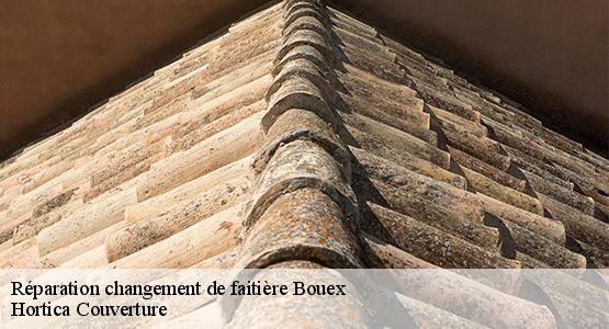 Réparation changement de faitière  bouex-16410 Hortica Couverture