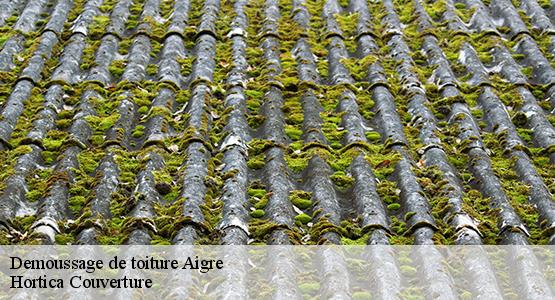 Demoussage de toiture  aigre-16140 Hortica Couverture