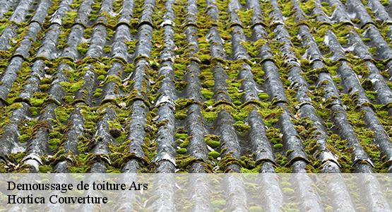 Demoussage de toiture  ars-16130 Hortica Couverture