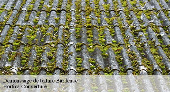 Demoussage de toiture  bardenac-16210 Hortica Couverture